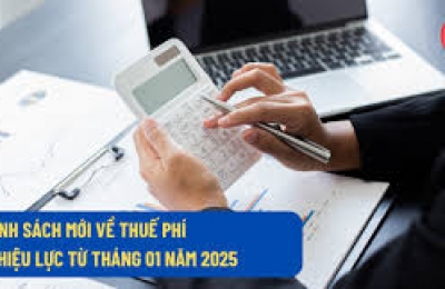 Tổng hợp các chính sách thuế mới 2025 áp dụng từ đầu năm đến nay