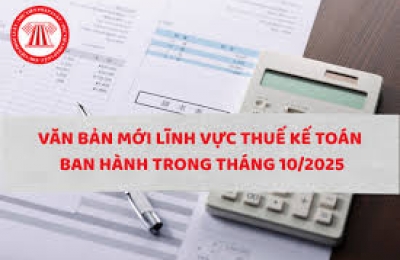 Tổng hợp văn bản thuế kế toán 2025 ban hành từ đầu năm đến nay