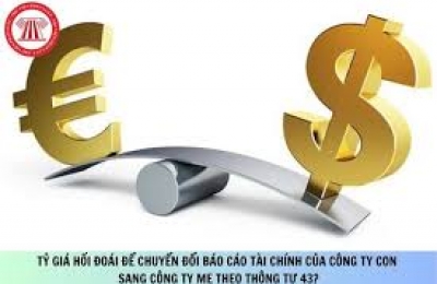Tỷ giá hối đoái chuyển đổi Báo cáo tài chính của công ty con bằng ngoại tệ sang đơn vị tiền tệ