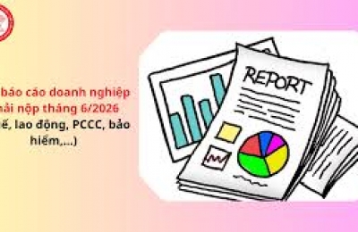 Các báo cáo doanh nghiệp phải nộp tháng 6/2026 (thuế, lao động, PCCC, bảo hiểm,…)