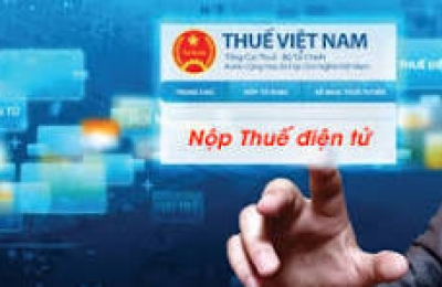 Hướng dẫn điền tờ khai thuế môn bài 2025 và thủ tục nộp thuế online