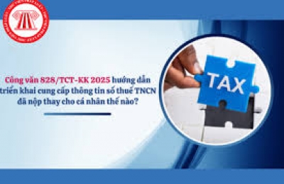 Hướng dẫn cung cấp thông tin số thuế TNCN đã nộp thay theo Công văn 828/TCT-KK năm 2025