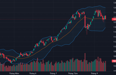 Văn Bản Chứng Khoán