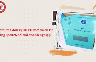 Tra cứu mã đơn vị BHXH mới và cũ tháng 9/2026 đối với doanh nghiệp