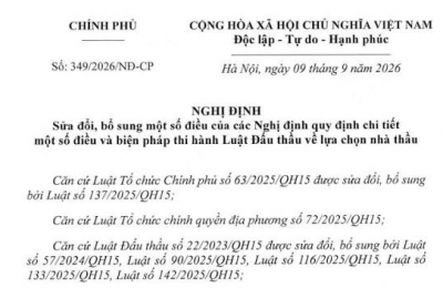 SỬA ĐỔI, BỔ SUNG MỘT SỐ ĐIỀU CỦA CÁC NGHỊ ĐỊNH QUY ĐỊNH CHI TIẾT MỘT SỐ ĐIỀU VÀ BIỆN PHÁP THI HÀNH LUẬT ĐẤU THẦU VỀ LỰA CHỌN NHÀ THẦU