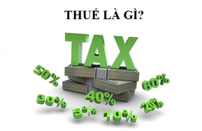 Luật Quản Lý Thuế 