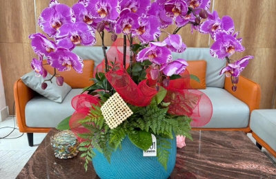 Chúc mừng 17 năm ngày thành lập Công ty Kiểm toán Khang Việt (16/5/2009 - 16/5/2025)