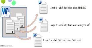 Danh mục, chế độ báo cáo định kỳ trong lĩnh vực kế toán kiểm toán động lập